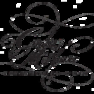 Meet your Posher, Cornelia